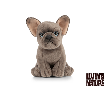 Plush French Bull Dog Baby