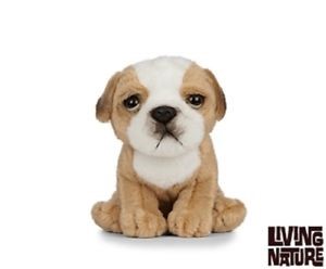 Plush English Bull Dog Baby