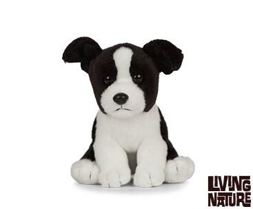 Plush Border Collie Baby