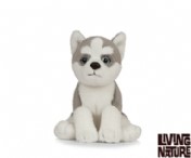 Plush Husky Baby