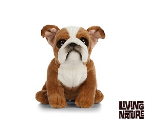 Plush English Bull Dog