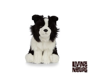 Plush Border Collie