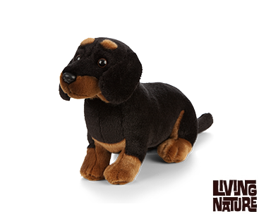 Plush Black Dachshund