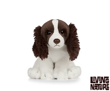 Plush English Springer