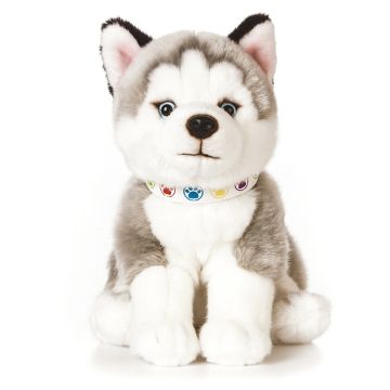 Plush Husky Pup