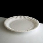 Paper Plates 7'' 100pk Evans