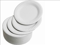 Paper Plates 9'' 100pk Evans