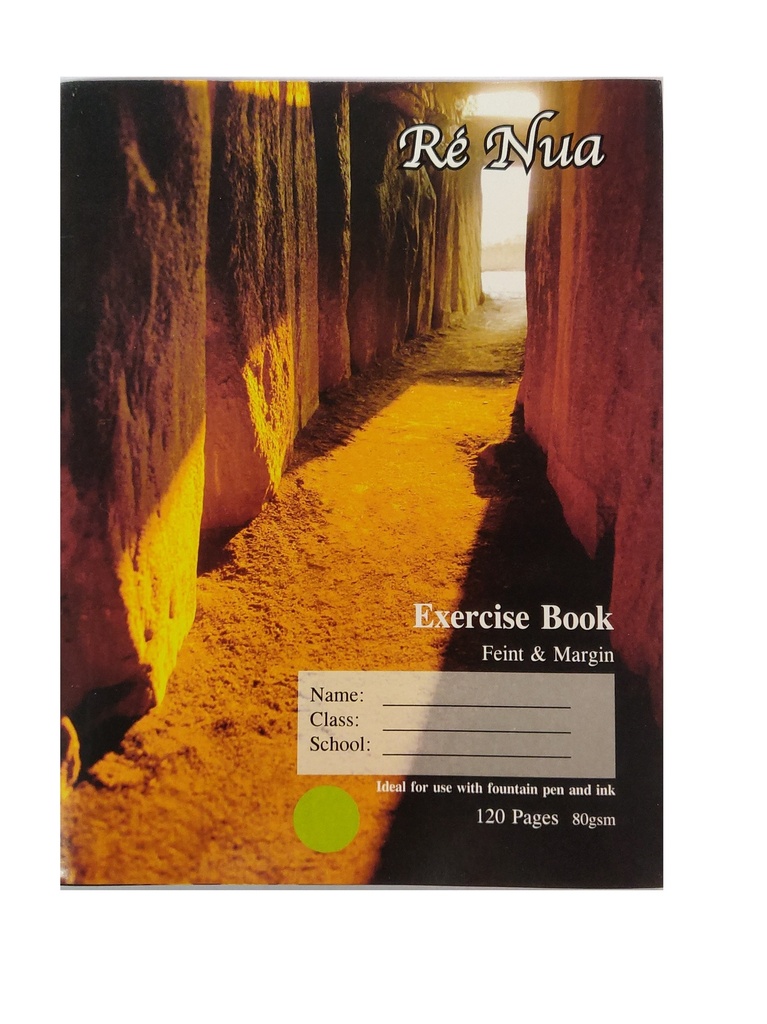 Copy 120Pg Re Nua Re-1113 80 gsm Superior Quality