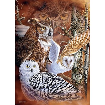 Puzzle Owls 500 pcs (Jigsaw)