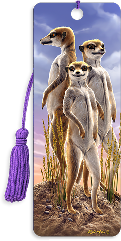 Bookmark Meerkats