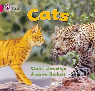 Big Cat Pink 1B Cats Non Fiction