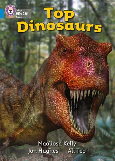 Big Cat Blue Top Dinosaurs Non Fiction