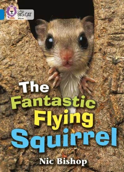 Big Cat Blue Fantastic Flying Squirrel Non Fiction