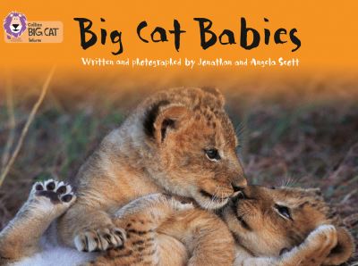 Big Cat Green Babies Non Fiction