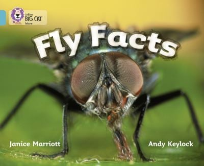 Big Cat Turquoise Fly Facts Non Fiction