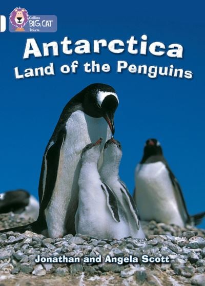 Big Cat White Antartica Land of Penguins NF