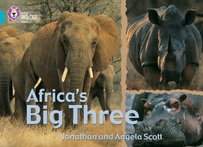 Big Cat Turquoise Africa's Big Three Non Fiction