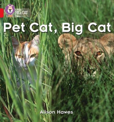 Big Cat Red 2A Phonics Pet Cat, Big Cat Non Fict