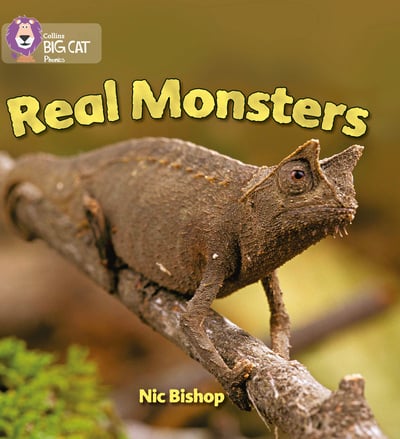 Big Cat Yellow Phonics Real Monsters Non Fiction