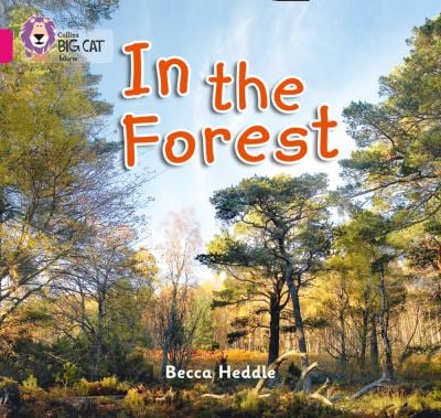 Big Cat Pink 1B In the Forest Non Fiction