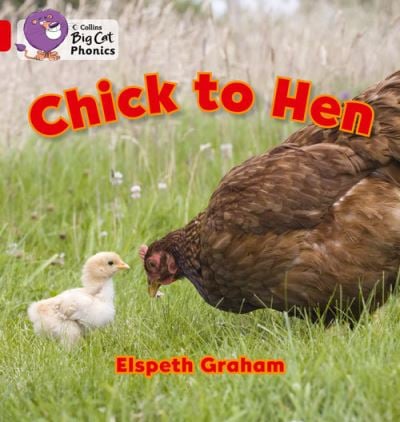 Big Cat Red 2A Chick to Hen Non Fiction