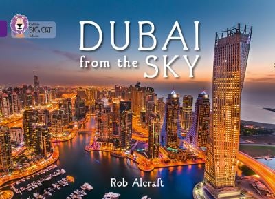 Big Cat Purple Dubai From The Sky NF