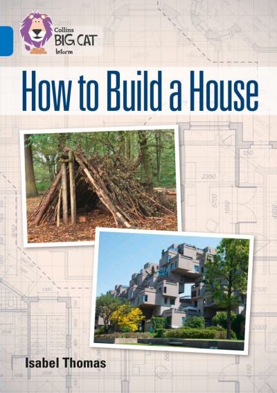 Big Cat Sapphire How to Build a House NF