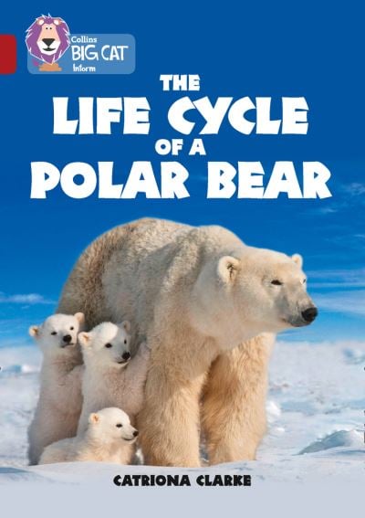 Big Cat Ruby The Life Cycle of a Polar Bear