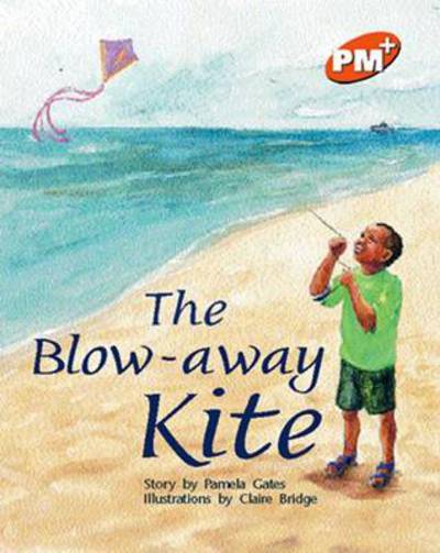 The Blow Away Kite PM+Orange