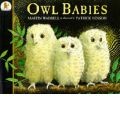 OWL BABIES