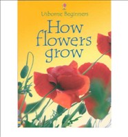 How Flowers Grow