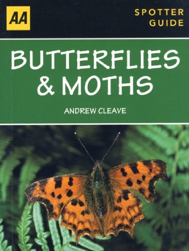 AA Butterflies and Moths