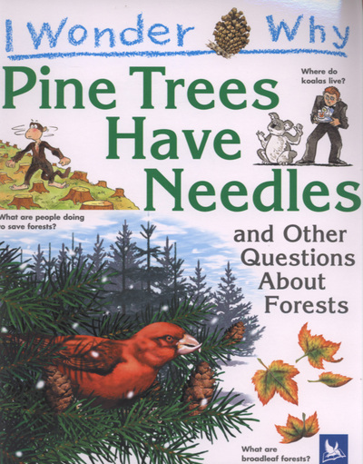 I WONDER WHY PINE TREES