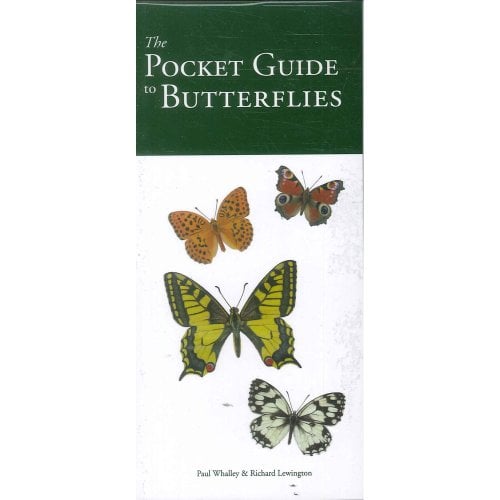 POCKET GUIDE TO BUTTERFLIES