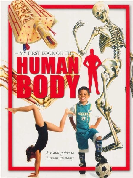 MY FIRST BOOK ON THE HUMAN BODY