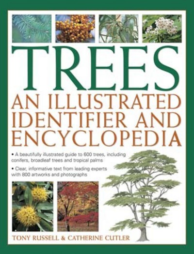 Trees An Illustrated Identifier and Encyclopedia (Hardback)
