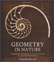 Geometry in Nature Exploring the Morphology of the Natural World Through Projective Geometry