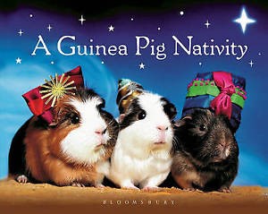 GUINEA PIG NATIVITY