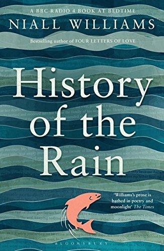 History of the Rain (Paperback)