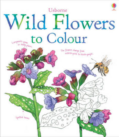 Wild Flowers to Colour (Paperback)