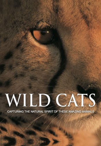 Wild Cats Capturing the Natural Spirit of These Amazing Animals