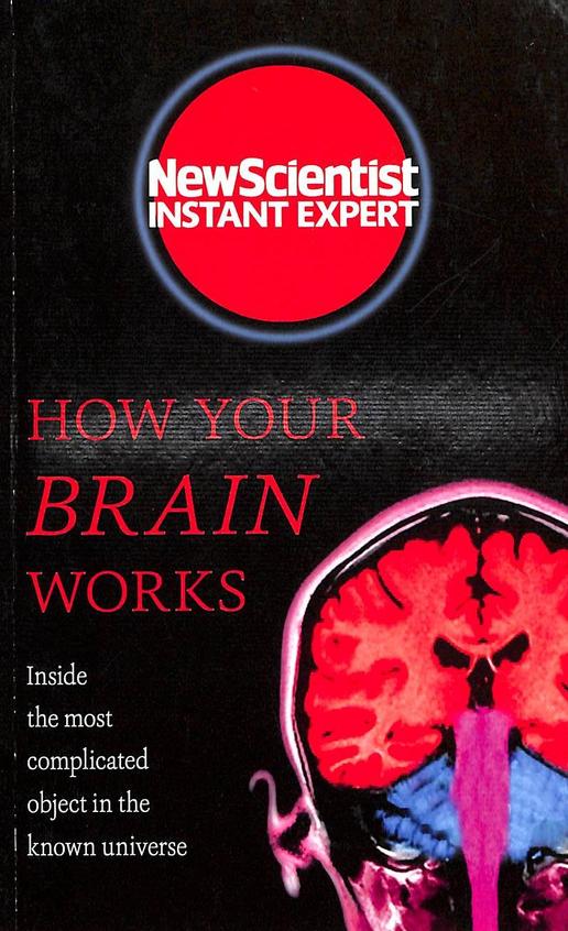 How Your Brain Works