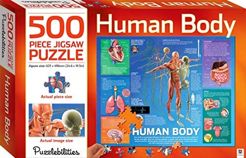 Puzzle Human Body 500-piece Jigsaw Puzzle (Jigsaw)