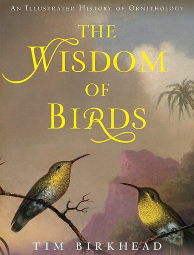 WISDOM OF BIRDS