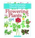 The Ultimate Visual Guide: Flowering Plants