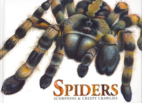 Spiders, Scorpions Creepy Crawlies