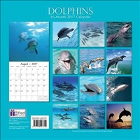 Wall Calendar 2017 - Dolphins