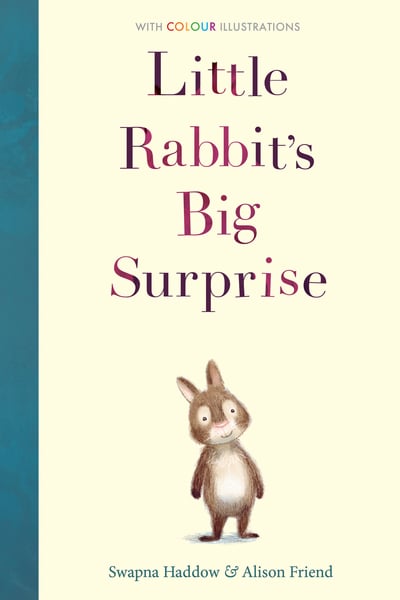 LITTLE RABBITS BIG SURPRISE