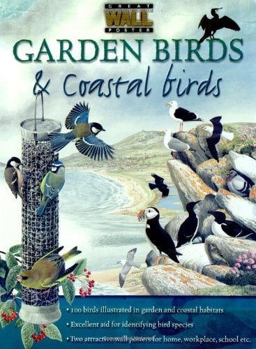 GARDEN BIRDS AND COASTAL BIRDS POSTER