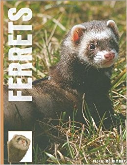 FERRETS